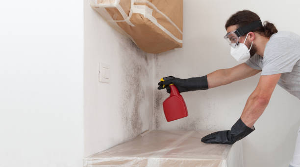 Professional Crawl Space Mold Removal technician working in Lewistown, IL