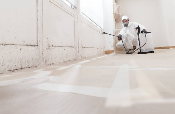 24/7 Emergency Crawl Space Mold Removal experts in Lewistown, IL